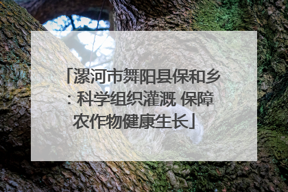 漯河市舞阳县保和乡：科学组织灌溉 保障农作物健康生长